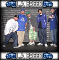 L.A. Breed - Exclusive Music Interview